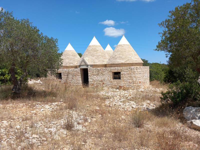  - foto 4