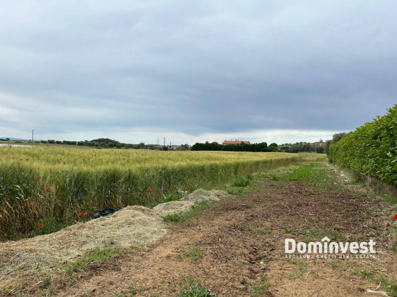 Altro Montalto di Castro, Montalto di Castro