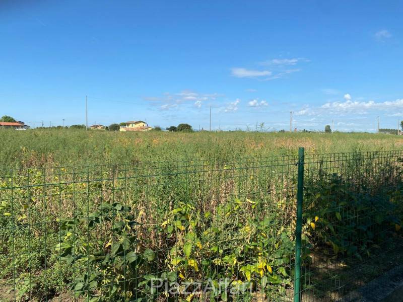 Terreno agricolo, Codevigo