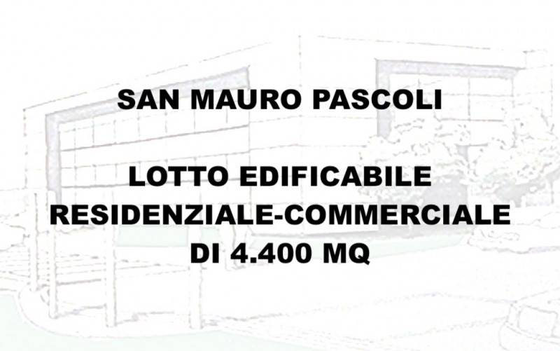 Altro San Mauro Pascoli, San Mauro Pascoli