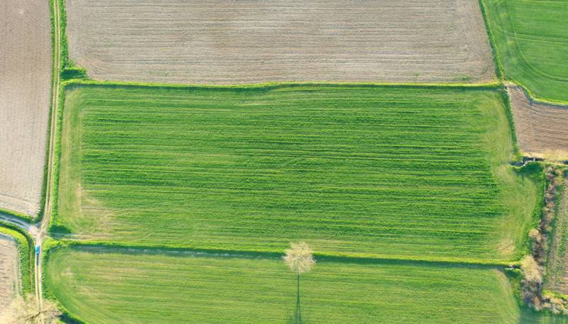 Terreno agricolo Bozzolo, Bozzolo