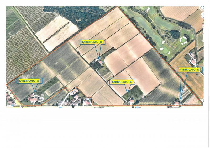 Terreno agricolo Feriole, Selvazzano Dentro