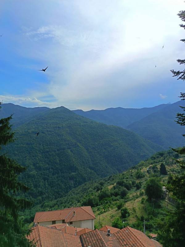  - foto 4