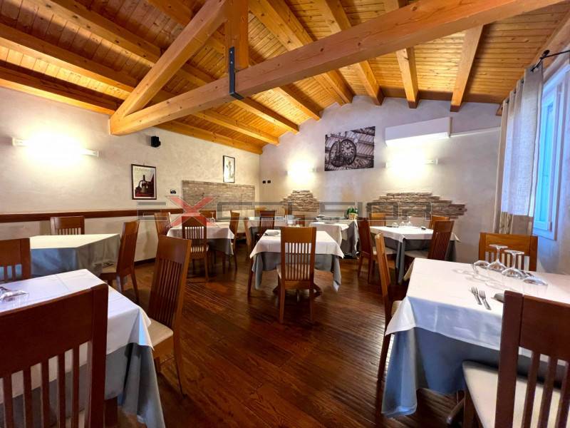 Attività  commerciale Adria, Adria