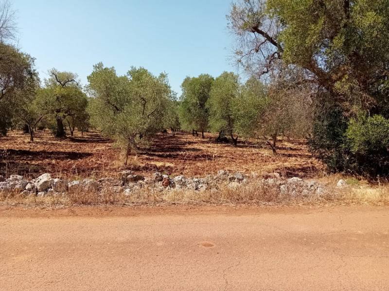  - foto 4