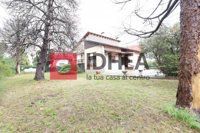  - foto 4