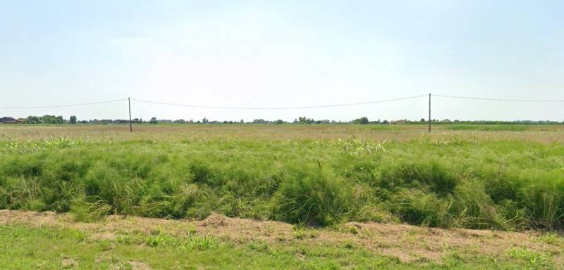 Terreno agricolo Boara Pisani, Boara Pisani