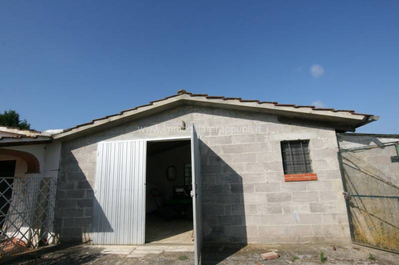  - foto 2