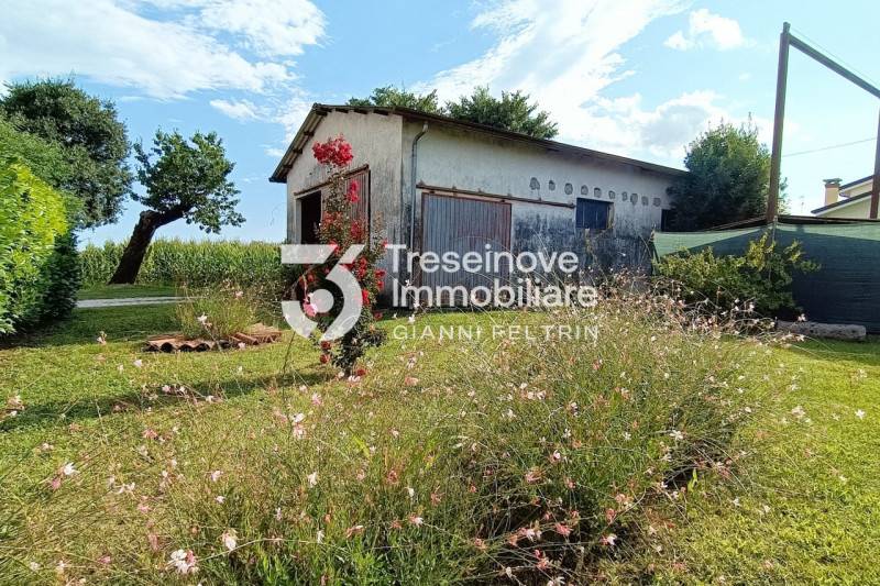  - foto 4