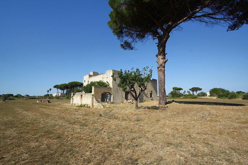  - foto 10