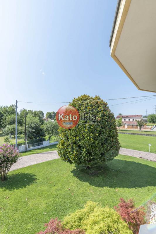  - foto 6