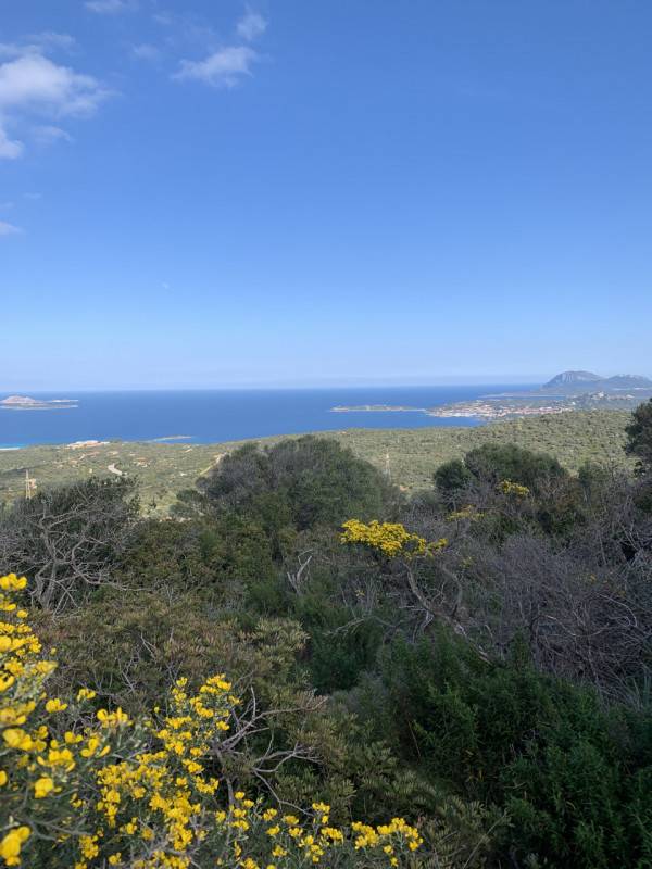  - foto 5