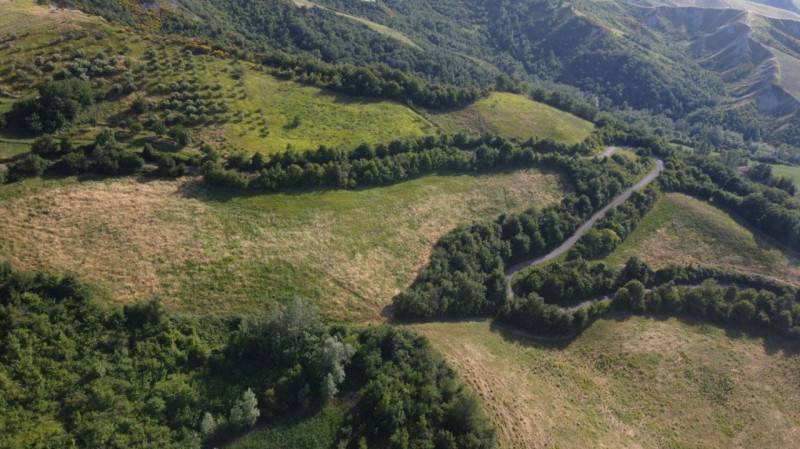 Terreno agricolo Quargnenta, Brogliano