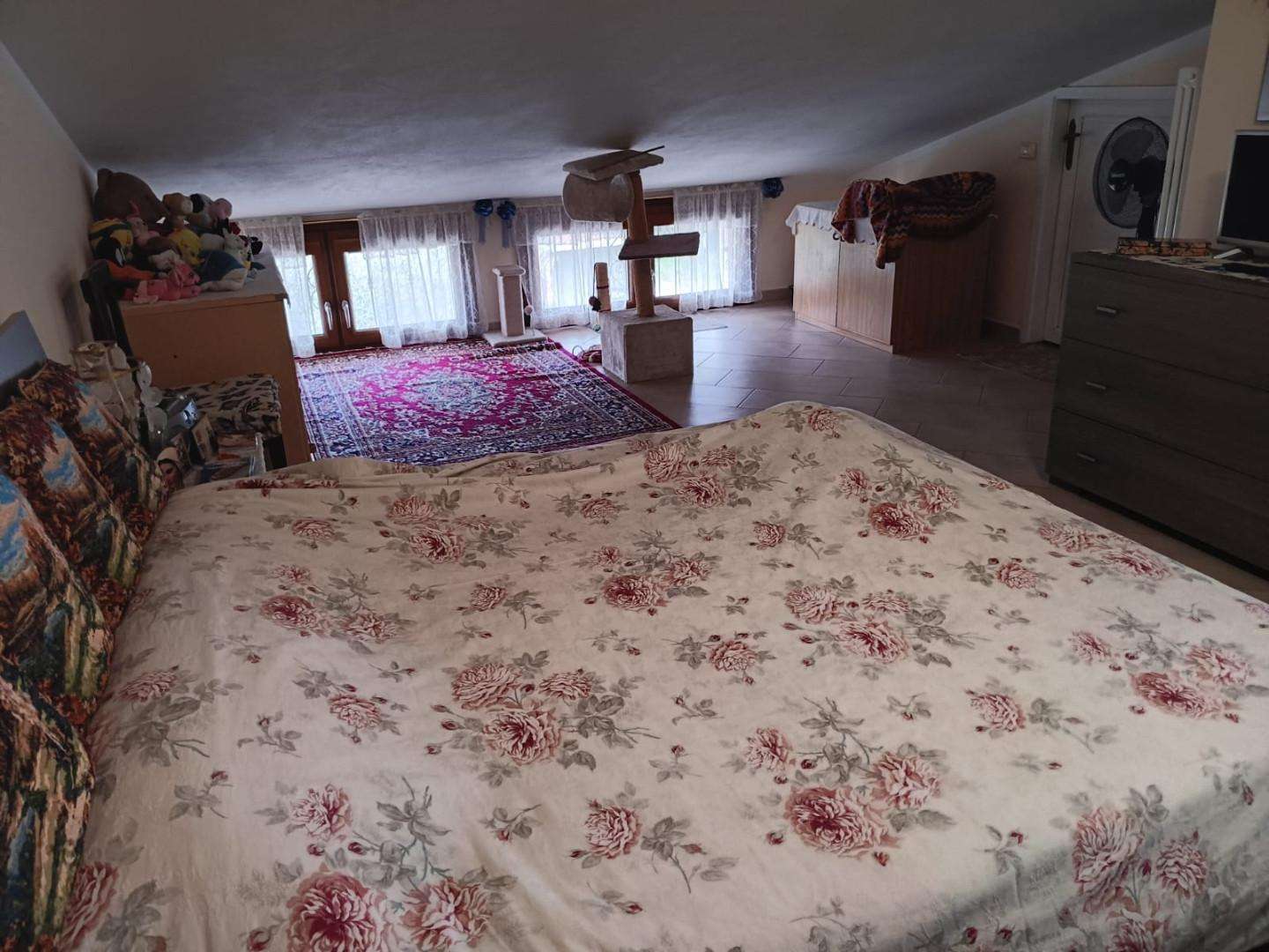  - foto 11
