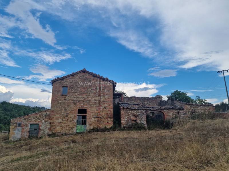 Rustico Montepulciano, Montepulciano