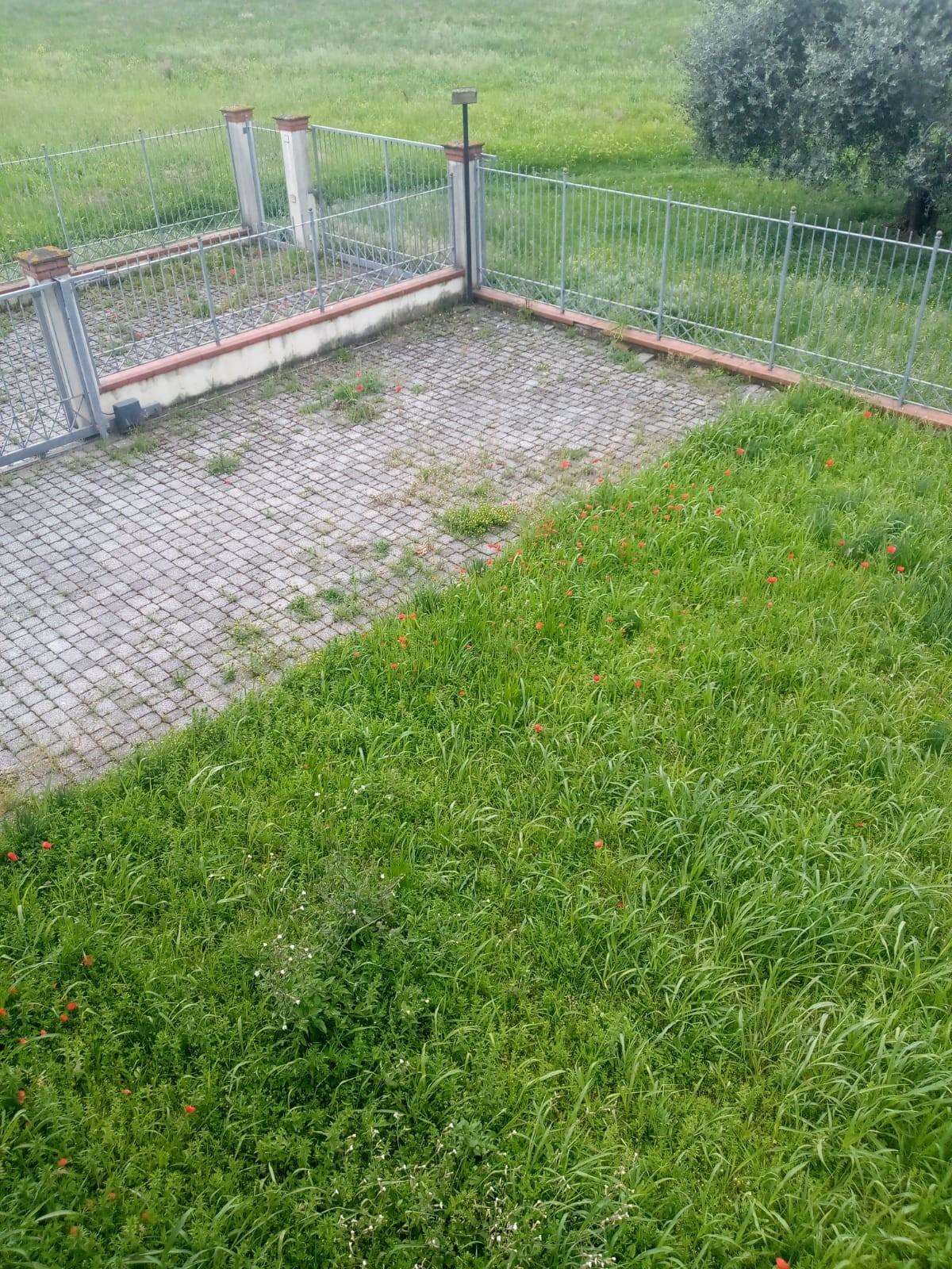  - foto 9