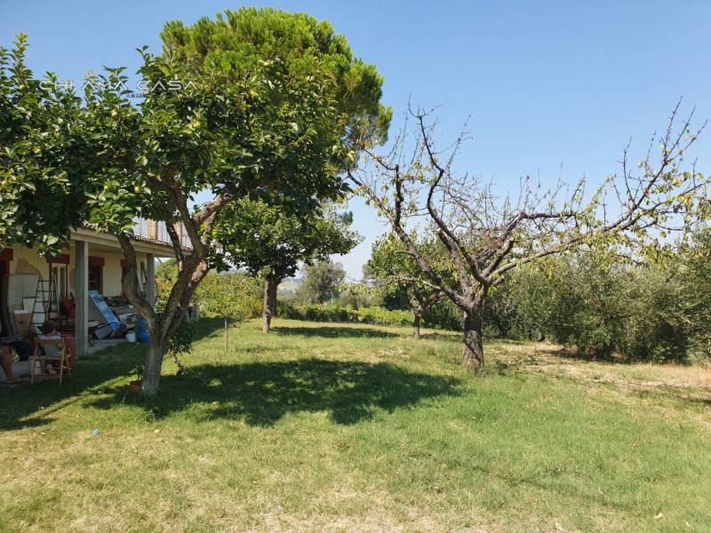  - foto 3