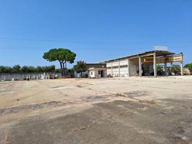  - foto 2