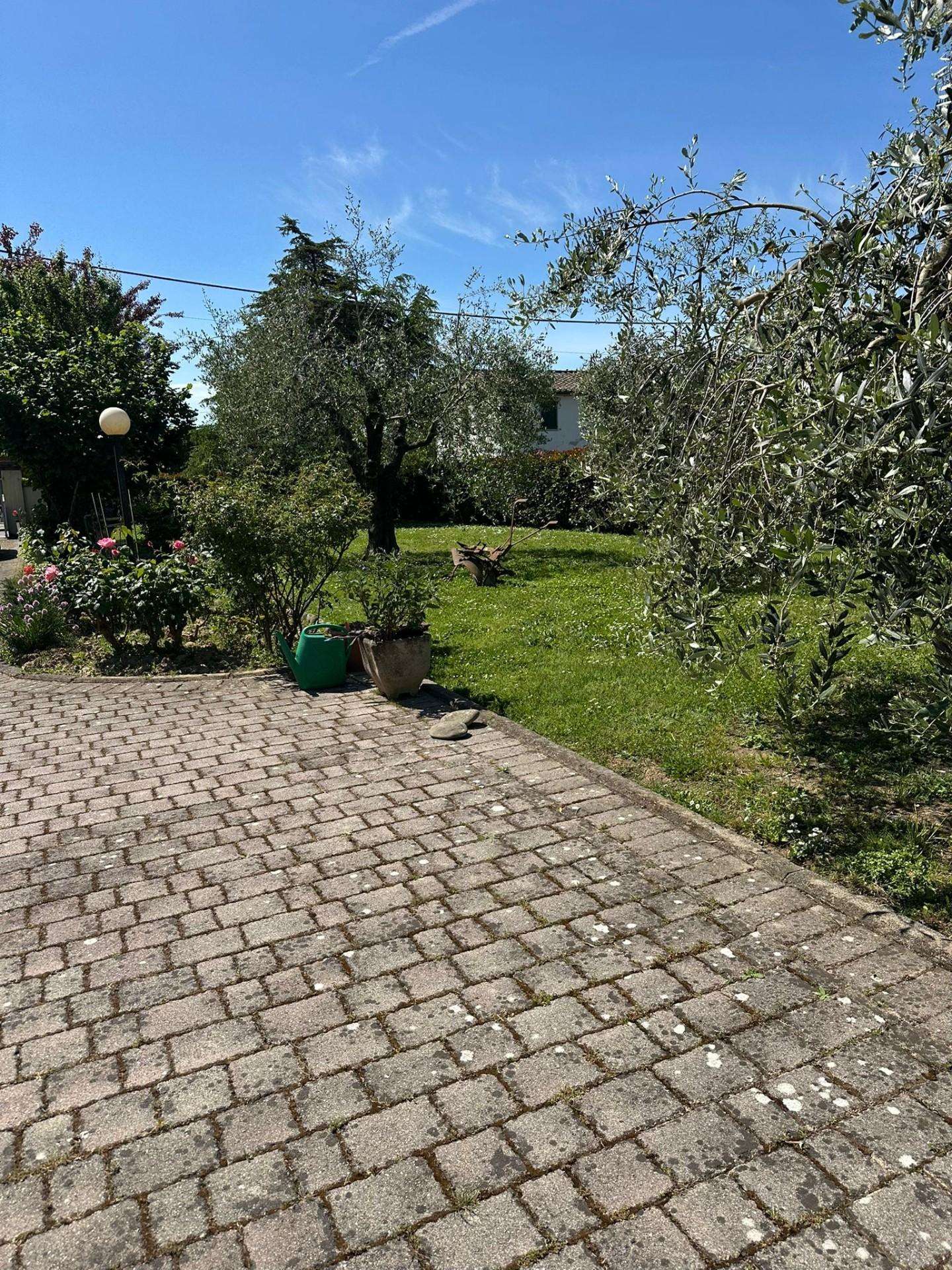  - foto 43