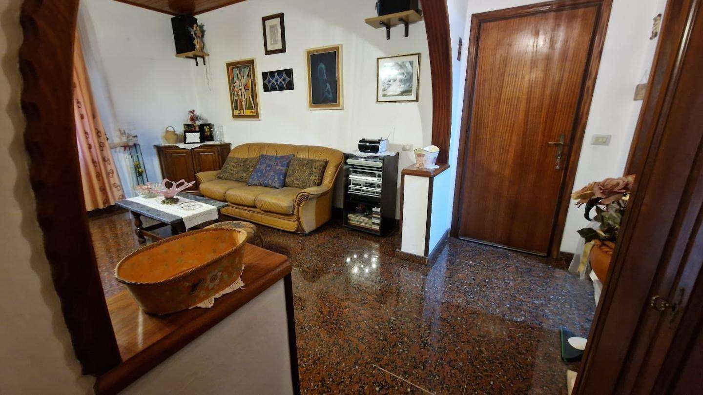  - foto 5
