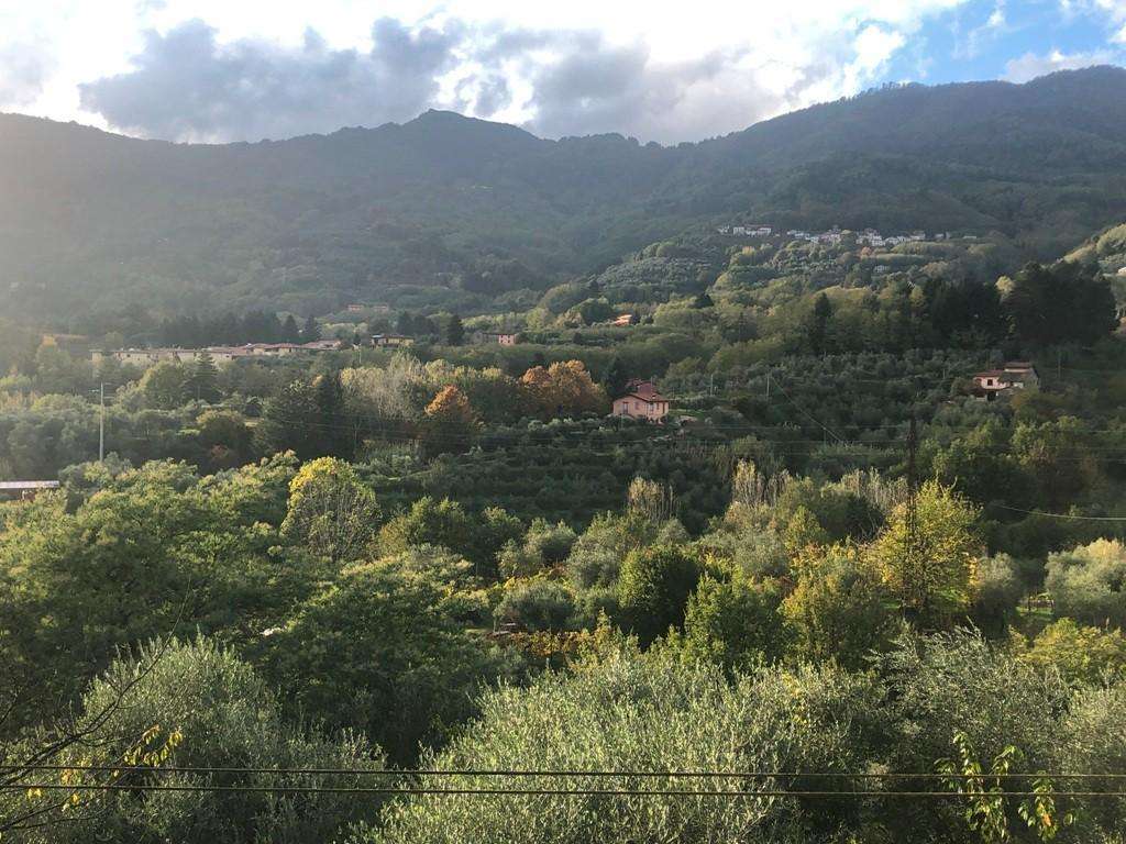  - foto 10