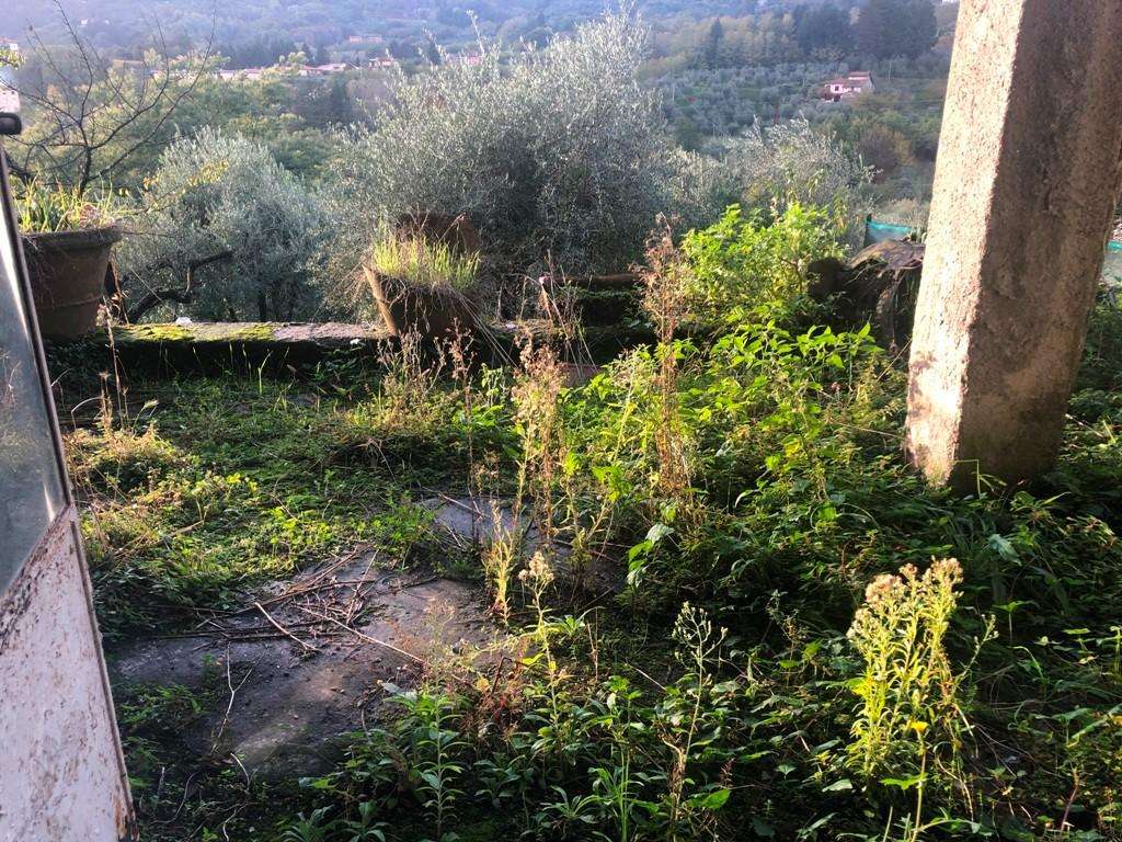  - foto 14