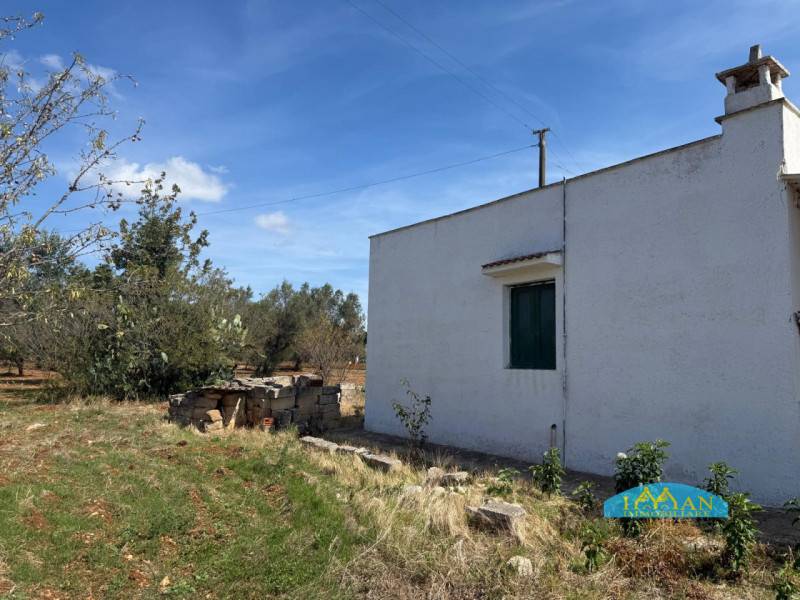  - foto 10