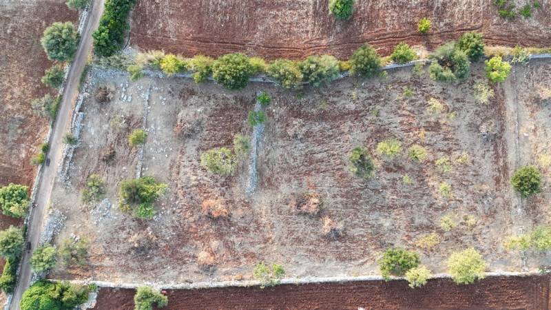Terreno agricolo, Polignano a Mare