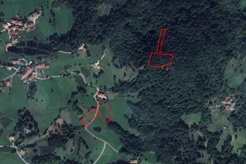 Altro, Valdagno