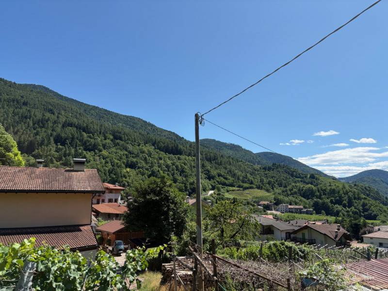  - foto 6