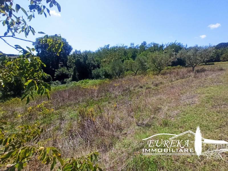 Terreno agricolo Gioiella, Castiglione del Lago
