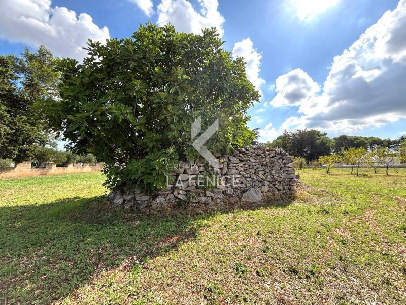  - foto 6