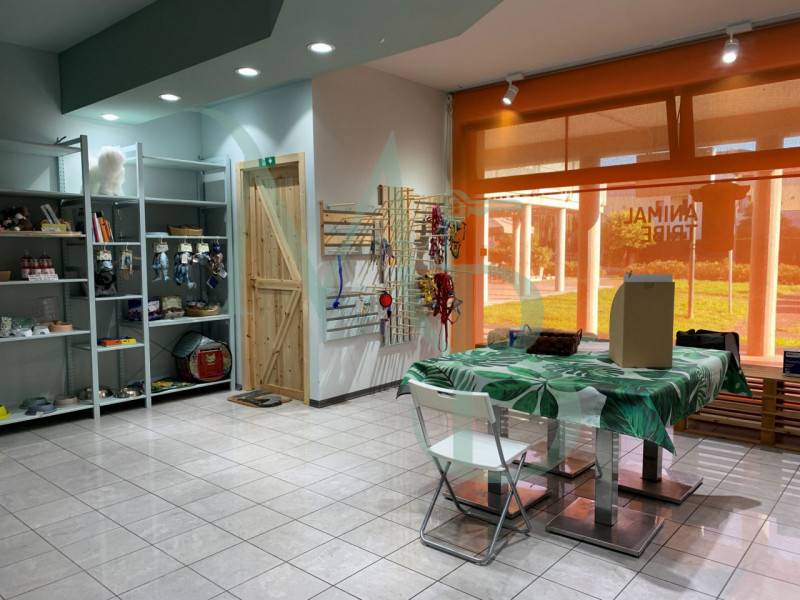  - foto 2