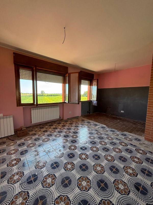  - foto 4