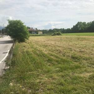 Altro, Aviano