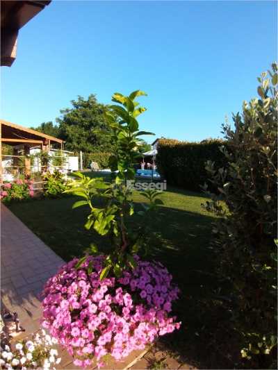  - foto 34