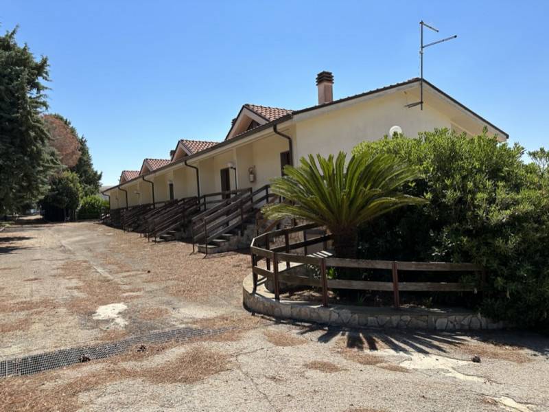  - foto 3