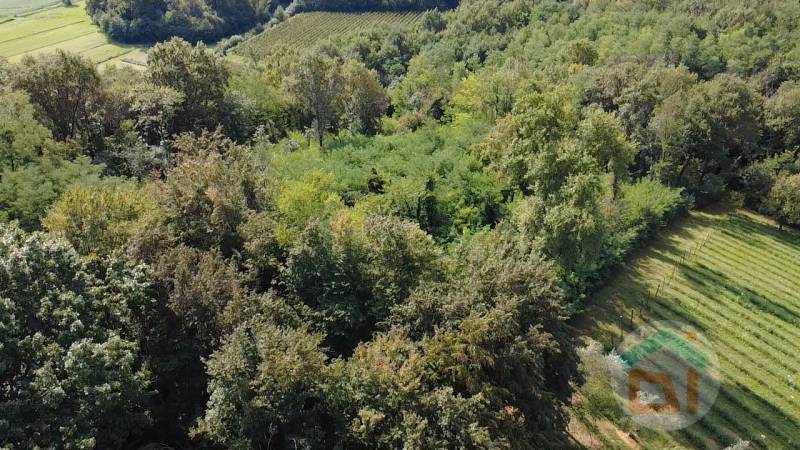Terreno agricolo Lucinico, Gorizia