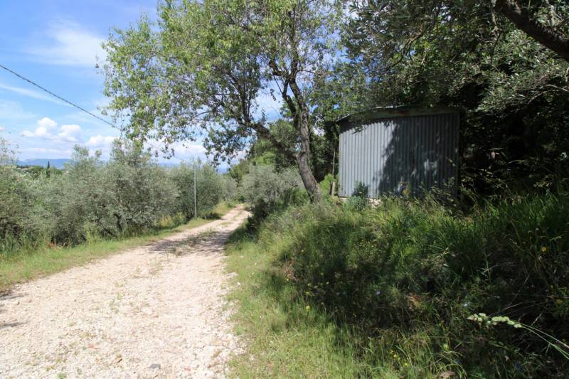 Altro Valenza, Terni