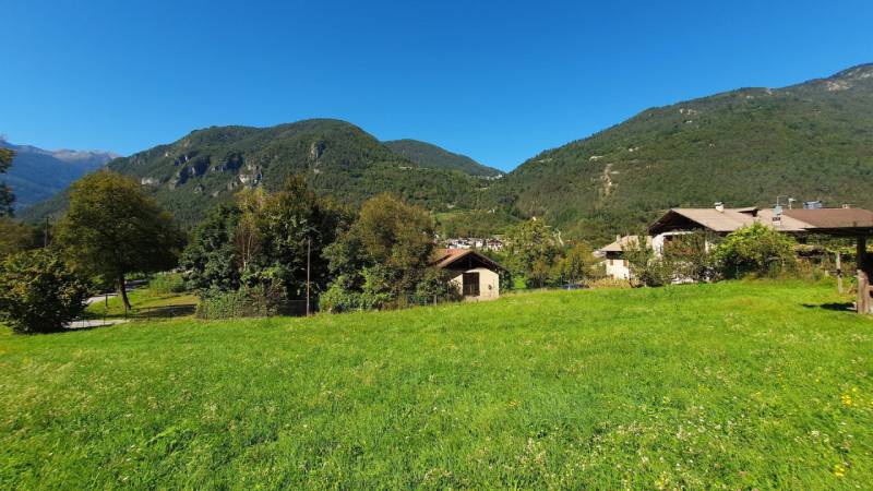  - foto 4