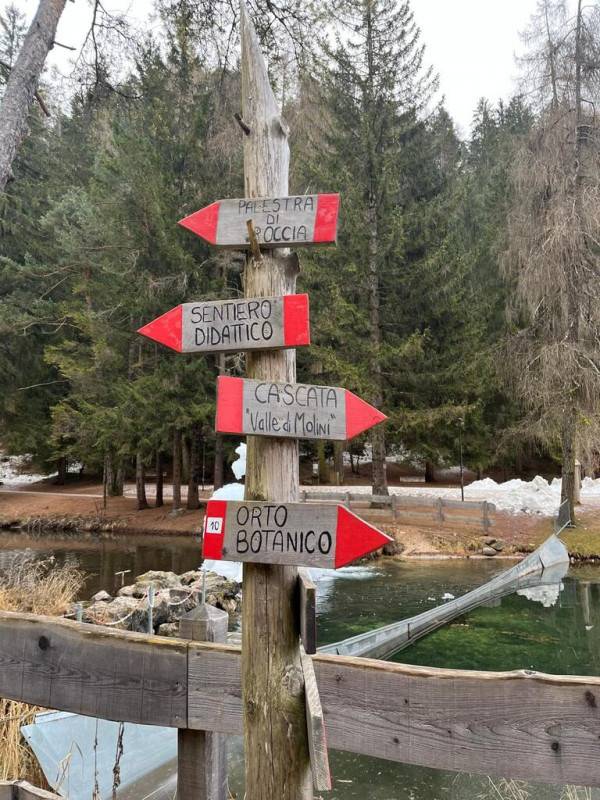 - foto 8