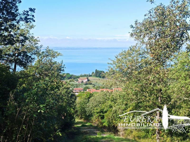 Altro San Feliciano, Magione