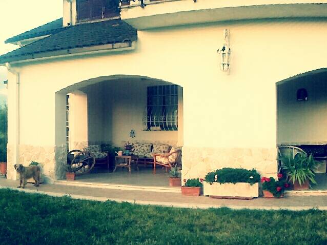  - foto 2