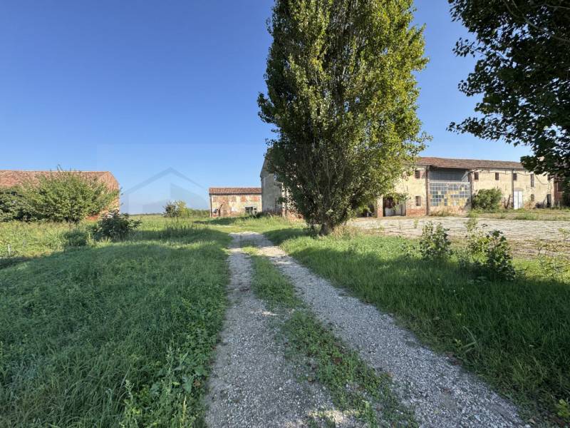 Rustico Conetta, Cona