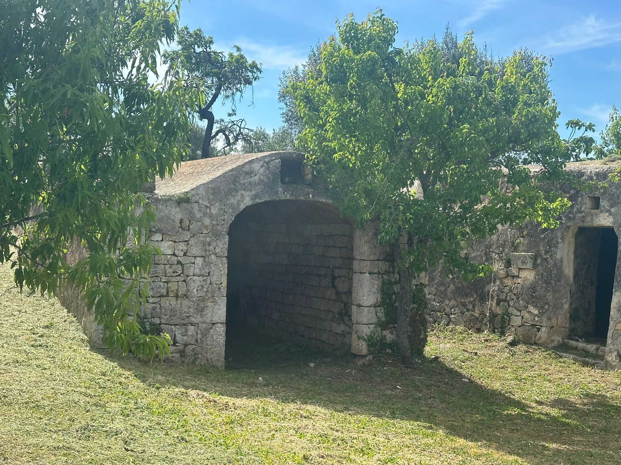  - foto 14