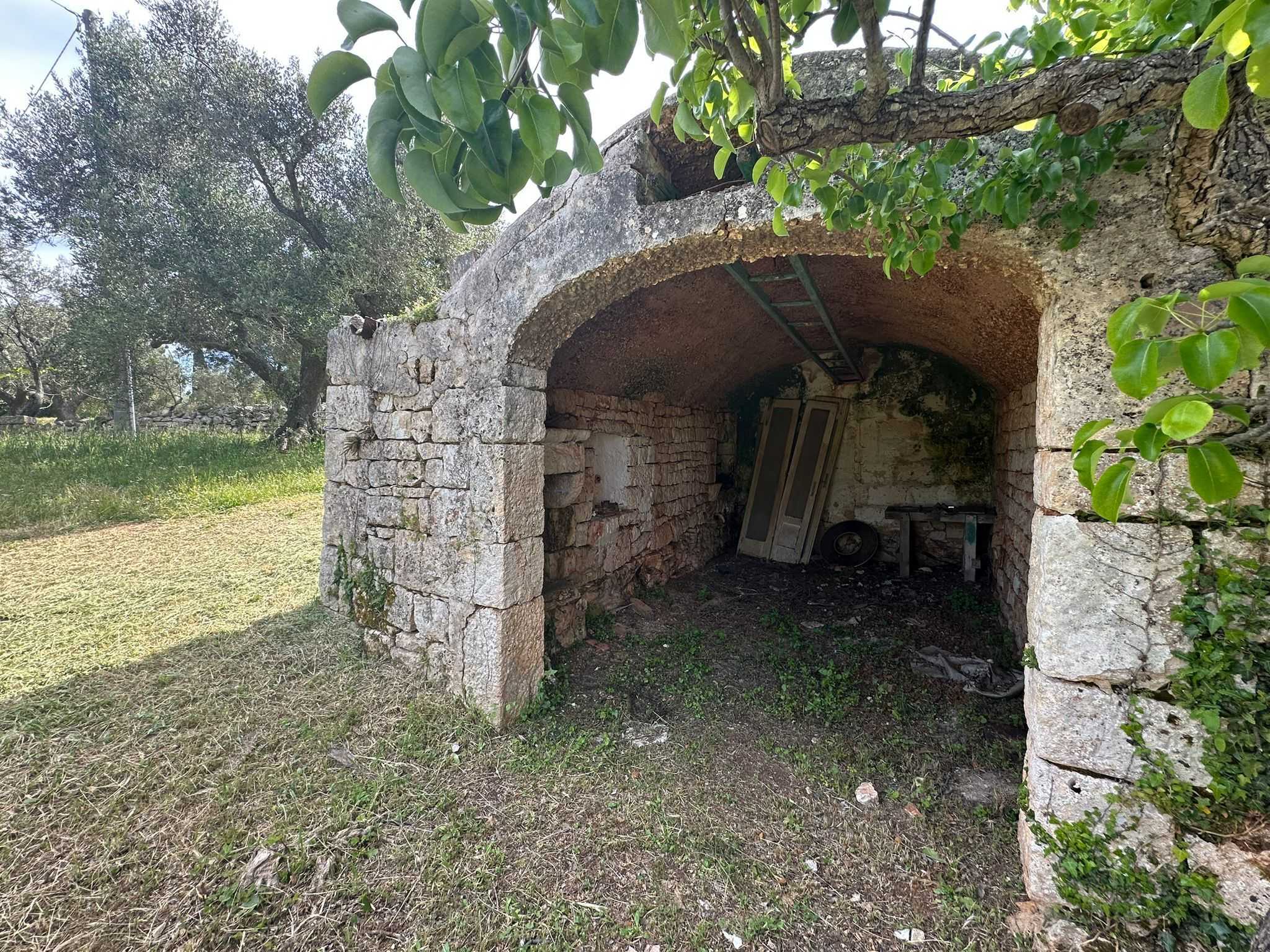  - foto 17