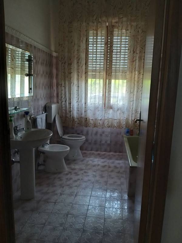  - foto 4