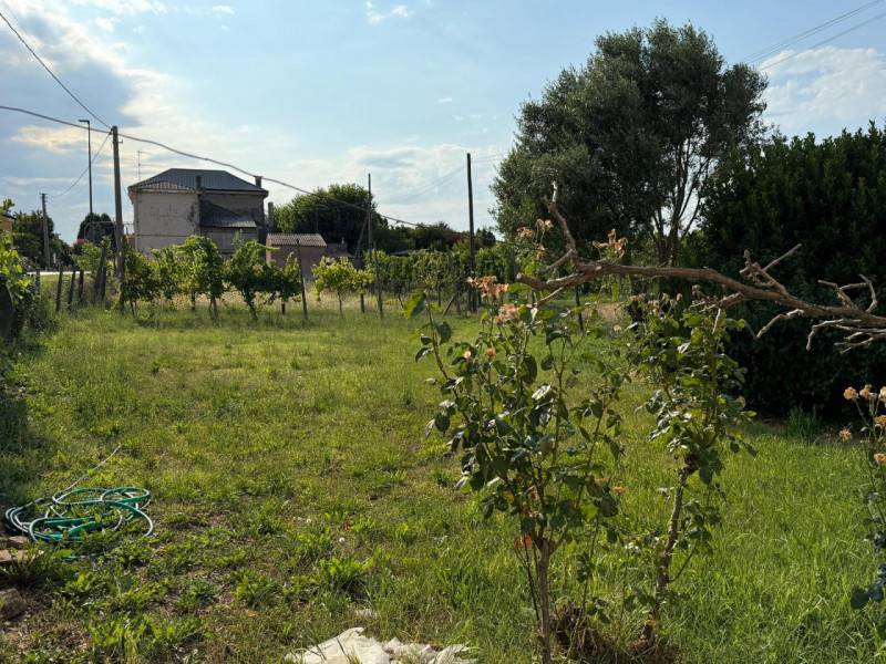 Casa indipendente Villamarzana - Centro, Villamarzana