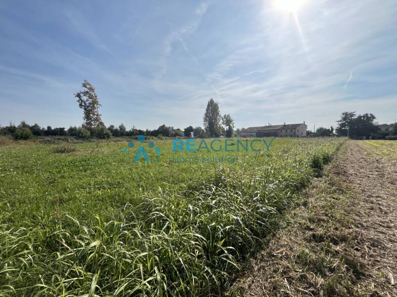 Terreno agricolo Poianella, Bressanvido