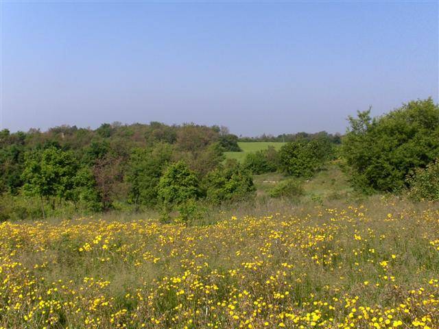  - foto 2